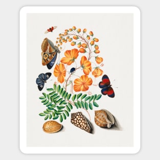 Flowers, beetles, butterflies, and shells vintage nature art Sticker